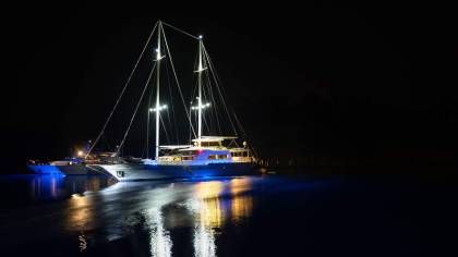 Vega Gulet