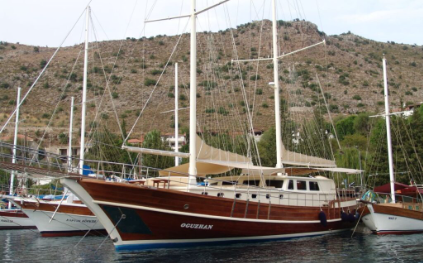 Oğuzhan Gulet